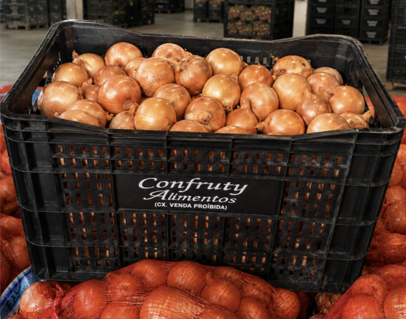Cebola
